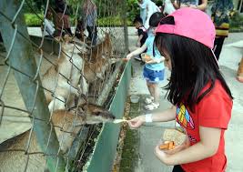 Semua pengunjung layak menikmati diskaun ini termasuk pelancong. Zoo Negara Habitat 4 000 Haiwan Wilayahku