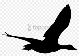Free Png Flying Birds Animation Png Image With Transparent Flying Bird Png Gif Png Download 850x567 2329738 Pngfind Upload & discover png files without a hitch! free png flying birds animation png