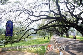 Itulah yang namanya rekomendasi dan tren. Mpt Beri Jaminan Pokok Gergasi Taman Tasik Tidak Berbahaya