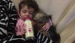 Watch This Adorable Video Of A Baby And Her Puppy Cuddling Taking A Nap