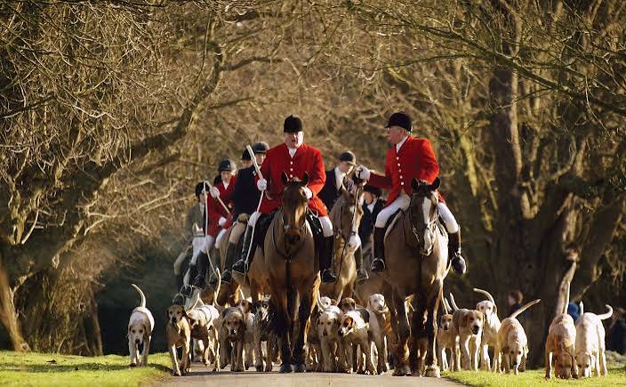 Foxhunting | History, Rules & Traditions | Britannica