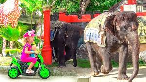 از کانال اپلیکیشن آموزش انگلیسی کودکان | hamechizdan.com. Milusik Lanusik Playing At The Zoo And Feeds Animals Youtube