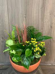 Ginger S Flowers And Gifts Flower Shop Martinsburg Martinsburg Flower Delivery