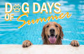 In ancient greece and rome, the dog days were believed to be a time of drought, bad luck, and unrest, when dogs and men alike would be driven mad by the extreme heat. The Dog Days Of Summer Hyper Fusion Llc