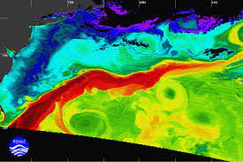 Current Temperature Of The Gulf Of Mexico Modeling What Would Happen To The Uk If The Gulf Stream Shuts Down | Ars  Technica