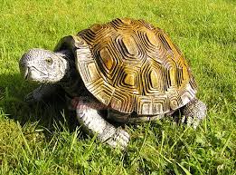 Die kleine schildkröte ist sehr. Schildkrote Dekofigur Garten Figur Tierfigur Deko Kaufen Bei Helga Freier