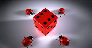 Gratis untuk komersial tidak perlu kredit bebas hak cipta. Sering Pura Pura Mati 8 Fakta Unik Ladybird Kumbang Terimut Di Dunia
