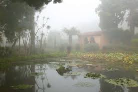 Check spelling or type a new query. Letter From California Lotusland Survives Fire And Fury In Montecito Gardenista