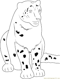 For kids & adults you can print leopard or color online. Cute Snow Leopard Coloring Page For Kids Free Snow Leopard Printable Coloring Pages Online For Kids Coloringpages101 Com Coloring Pages For Kids