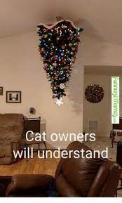 20 Christmas Tree Memes To Make Your Holidays So Much Better Sayingimages Com Funny Cat Memes Cat Memes Christmas Memes