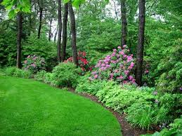 My Garden A Cool Quiet Corner Of The World Wooded Backyard Landscape Backyard Landscaping Designs Wooded Landscaping