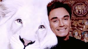 After several attempts, animal trainers finally get the tiger mantecore to release roy horn. Coronavirus Killed A Lion Of A Star Today Roy Of Siegfried Roy Dead