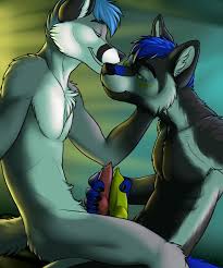 Some furry frottage to fuel your day (Vallhund) : rgayfurryporn