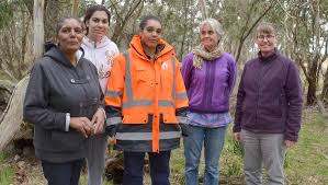 Indigenous project aims to stop yam fields from slipping AWAY