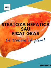 We did not find results for: Ficat Gras Steatoza Hepatica Gras Health Medicine