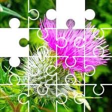 They feature fun puzzles of all types that'll keep you entertained. Thistle Jigsaw Puzzle Disney Puzzles Hard Puzzles Free Online Jigsaw Puzzles