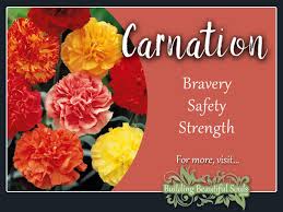 We did not find results for: Carnation Meaning Symbolism January Birth Flower Flower Meanings
