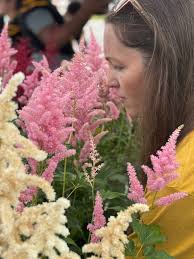 Friends of Topsail Football
