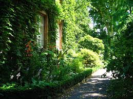 Unmut über weigerung der uni wächst in der gießener bevölkerung wächst indes der unmut über die weigerung der universität, den garten zu öffnen. Der Botanische Garten In Giessen Giessen Entdecken Giessen Entdecken