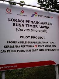 Pln operasikan gardu induk dan transmisi 275 kv sarulla selengkapnya. Dira Setiyawan Atieksetiyawan Twitter