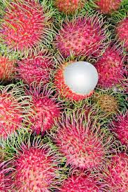 Pin On Beauty Of Asia