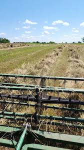 moe Jensen (@moe.jensen)’s videos with original sound