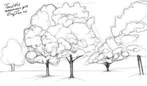 Kartinki Po Zaprosu Yak Namalyuvati Klen Osin Tree Sketches Tree Drawing Tree Drawings Pencil