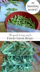 How To Freeze Green Beans Without Blanching An Oregon Cottage