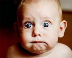 July Newsletter 2016