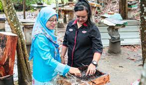 Antioxidant in stingless bee honey could break the chain of free radicals that cause a detrimental effect to the wounded area. Sweet Dreams Malaysia S Stingless Bee Honey Creates A Buzz In Mideast Arab News