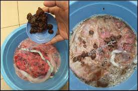 Hukum menanam uri adalah harus (jakim) uri tersebut perlu dibasuh dan ditanam di dalam tanah supaya ia tidak dimakan oleh haiwan. Cara Basuh Uri Anak Yang Paling Mudah Mamapaparea Lifestyle Healthy Beauty