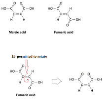 Maleic Acid - Wikipedia