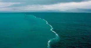 Gambar laut yang tidak bercampur. 11 Manfaat Laut Proses Sifat Zona Jenis Gerak Dan Fenomena