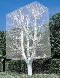 Birds Cage France Tree Art Outdoor Art Environmental Art