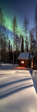 Maybe you would like to learn more about one of these? Winter Log Cabin In A Boreal Forest In Fairbanks Alaska With Green Northern Lights Overhead By Patrick J End Winter Scenes Northern Lights Norway Forest
