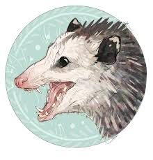 Pin By Trw On Art Animal Art Cool Art Awesome Possum