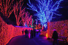 Pin By Carol Edgar On Christmas Zoo Lights Oregon Places To Visit