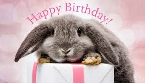 Forkers Gossip Corner Happy Birthday Bunny Wabbit Happy Birthday Bunny Cute Birthday Wishes Funny Happy Birthday Pictures
