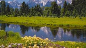 National forest lands total about the zone averages about 15 to 30 wildfires per year of varying size and complexity. Yellowstone Zone Of Death How To Legally Get Away With Murder