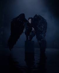 Check spelling or type a new query. Page 2 Hd Black Swan Wallpapers Peakpx
