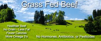 The process of introducing a machine to do something that used to be done by hand: What Is The Difference Between Grass Fed Beef And Organic Beef Topline Foods