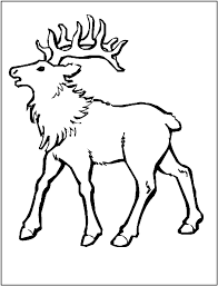 236 x 261 file type: Elk Coloring Page Animals Town Animals Color Sheet Elk Animal Coloring Pages Coloring Pages Elk Pictures