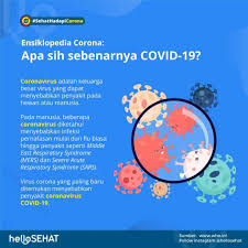 Tapi bisa juga menjadi tanda bahwa anda terkena virus corona. Virus Corona Covid 19 Gejala Penyebab Dan Cara Mencegah
