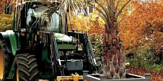 Die führung wird voraussichtlich abgesagt. Winterquartier Im Botanischen Garten In Braunschweig Wird Geraumt