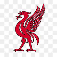 Reserves and academy anfield english football league uefa champions league, liverpool logo transparent background png clipart. Liver Bird Png Liver Bird Illustration Liver Bird Drawing Liver Bird Wallpaper Liver Bird Silhouette Liver Bird Building Cleanpng Kisspng