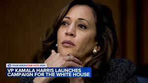 Illinois Gov. JB Pritzker, senators Dick Durbin, Tammy Duckworth endorse VP  Kamala Harris as she secures delegates for nomination