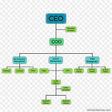 organizational chart text png download 1000 1000 free