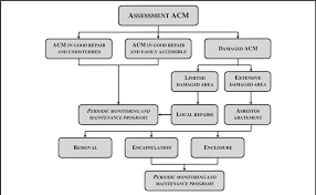Flowchart For Acm Assessment Download Scientific Diagram