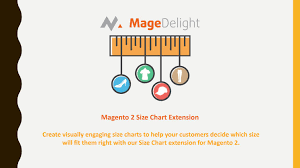 Create Unlimited Size Charts With Magento 2 Size Chart
