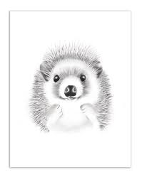 Hedgehog Nursery Art Print Baby Animal Drawing Woodland Etsy Baby Animal Drawings Baby Animal Nursery Art Hedgehog Nursery Art